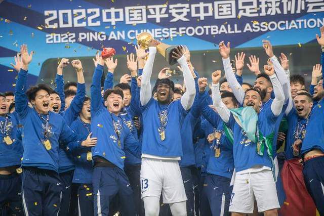 叶枫最近事情比较多、走不开，所以这次就由他陪我回来。